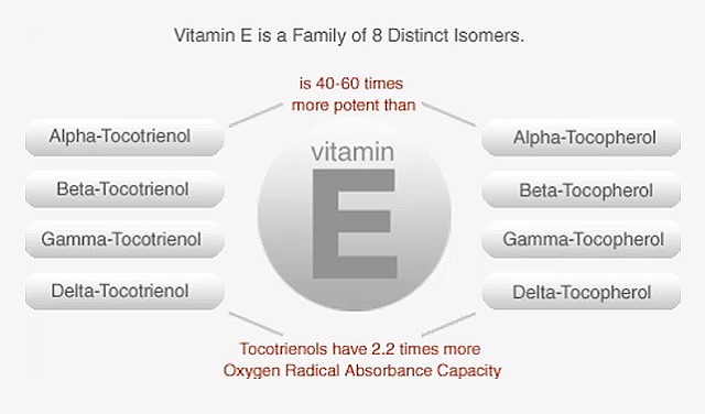 Vitamin E is a Family of 8 Distinct Isomers.